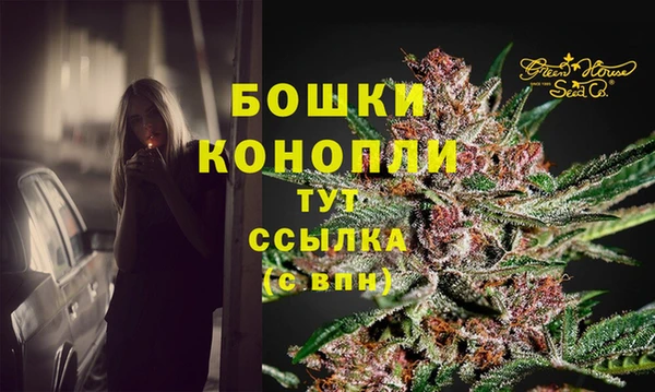 крисы Дмитриев