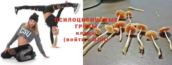 а пвп мука Дмитров