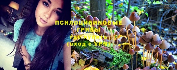 ECSTASY Дмитровск