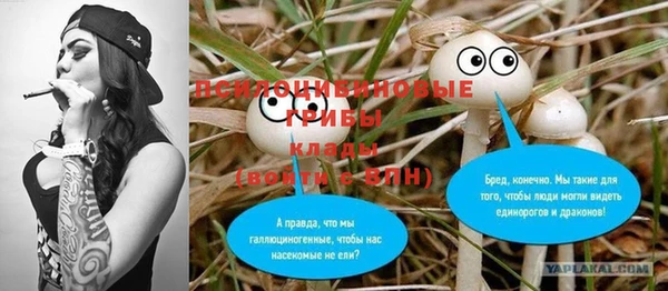 а пвп мука Дмитров