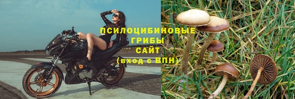 крисы Чердынь