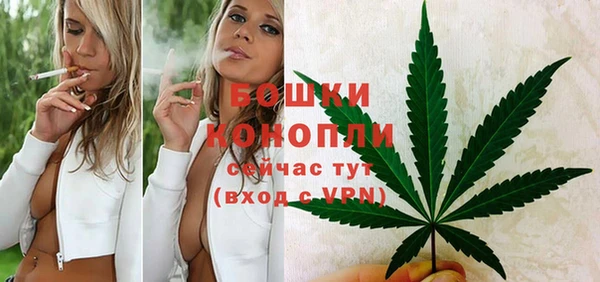 крисы Дмитриев