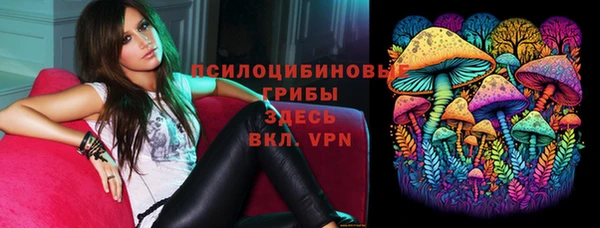ECSTASY Дмитровск