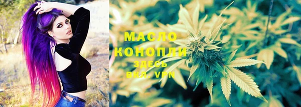крисы Дмитриев