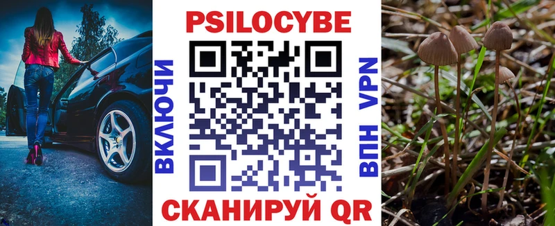 Галлюциногенные грибы мицелий  наркотики  Зарайск 